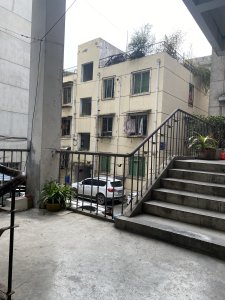金地小区