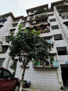 九一八小区