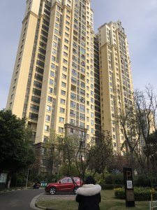 东原长洲