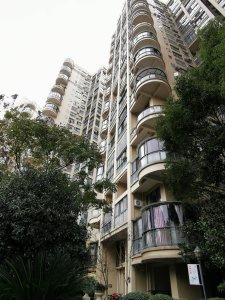 普罗旺斯