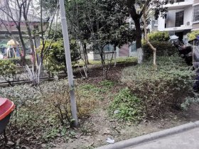 滨江丽舍