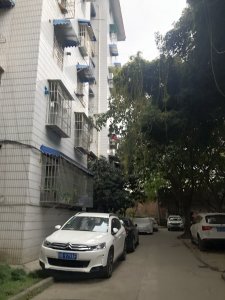 佳园小区