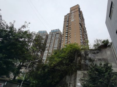海珂三千城