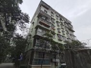 子云四季阳光