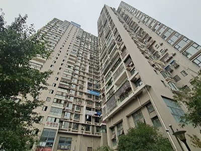 红星金座