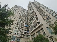 红星金座
