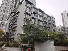 隆盛馨领域