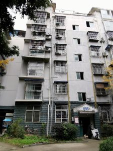格兰春天