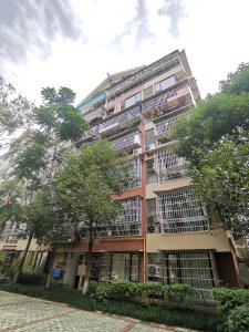 兴发枫叶绿洲