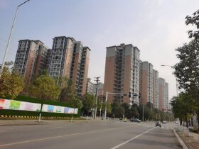 树高卡地亚B区