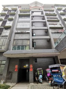 中兴壹号