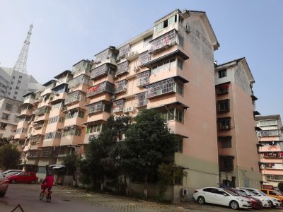 随园新村