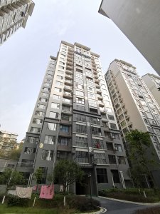 梓锦名著