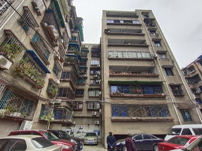 红星街73号院