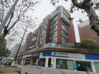 卓信龙岭