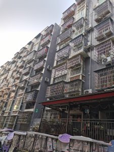 环城丽景