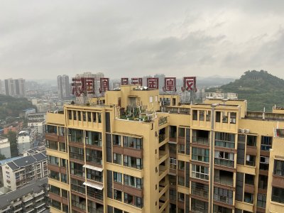 凤凰国际