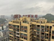 凤凰国际
