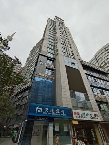 中央美地