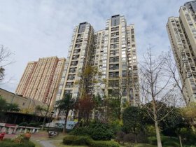 卓信金楠天街