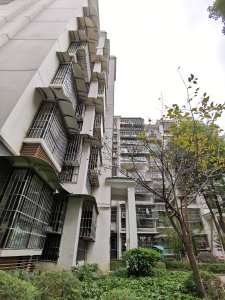 城东壹号