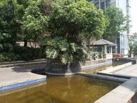 观岭8号