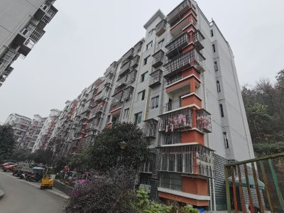 富森春天