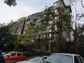上河鹂岛