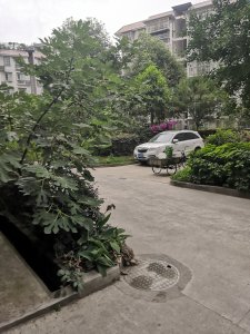 金堡新区