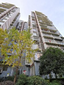 顺鑫凯旋城