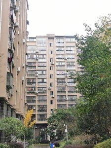 花城公馆