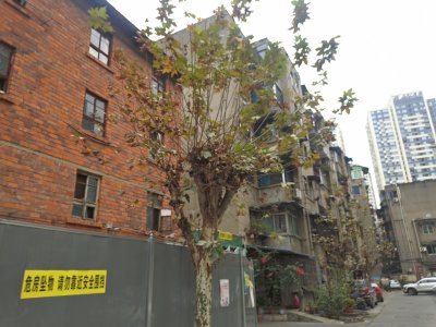 市建公司家属区