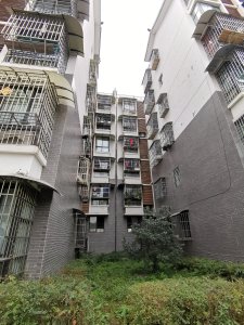 新盛名城