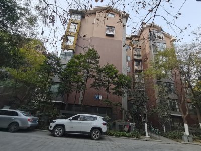 桐雀郡