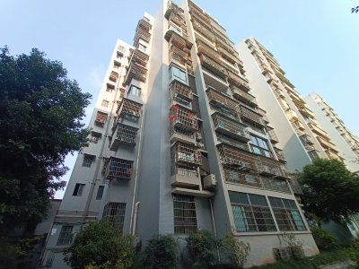 都市绿洲