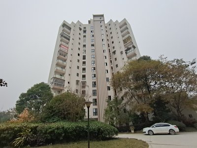 青羊新城