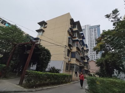 临园小区