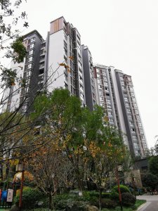 龙溪谷(游仙)