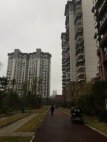 明月峰景