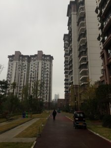 明月峰景