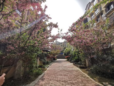 富临卢卡美郡(别墅)