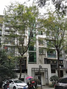 芙蓉金城(南区)