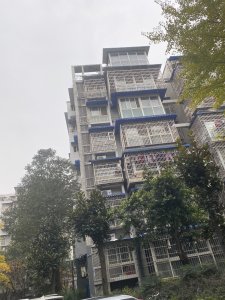 中华御景