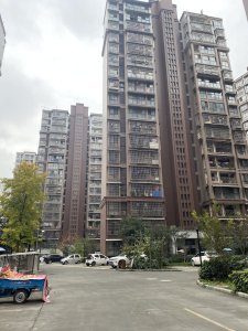 新景家园