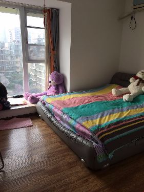 绵阳 绵阳二手房