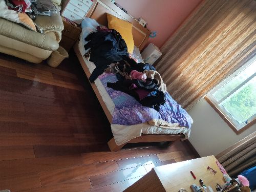 绵阳 绵阳二手房