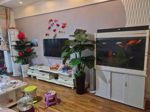 绵阳简装 3房 117.51m² 江城苑二期 城北片区 49万元 位置好、格局超棒、现在空置、随时入住 绵阳二手房