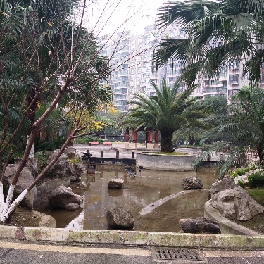 绵阳 绵阳二手房