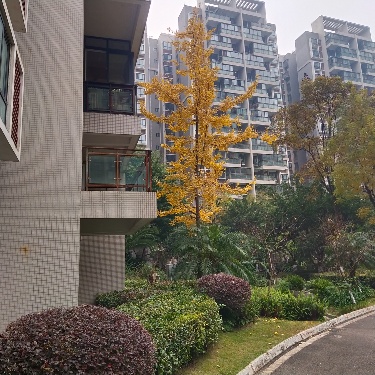 绵阳 绵阳二手房