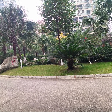 绵阳 绵阳二手房